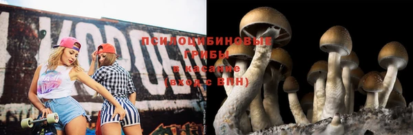 марки nbome Инта