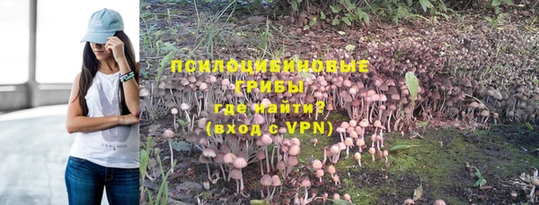 трава Зеленодольск