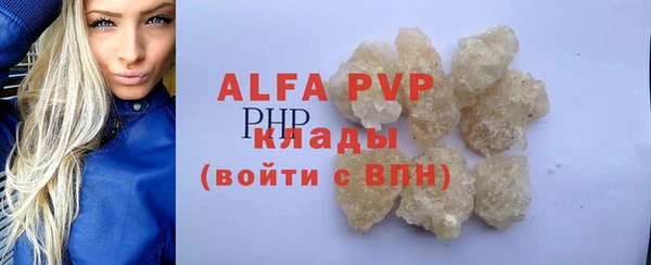 гашик Зеленокумск