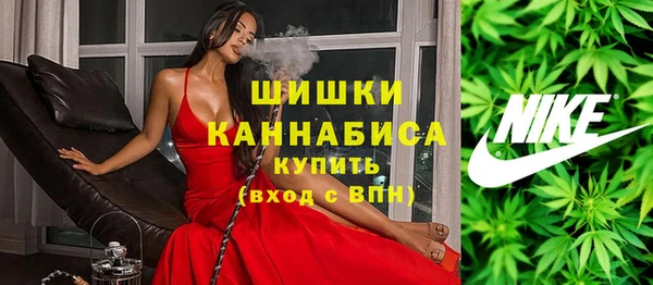 гашик Зеленокумск