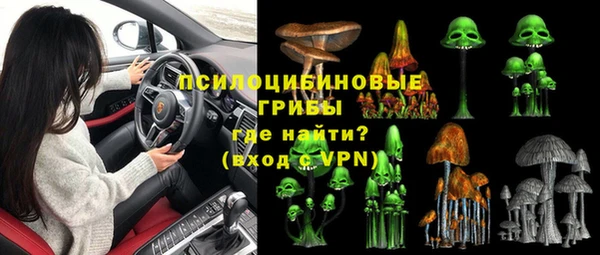 гашик Зеленокумск