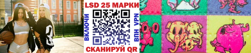 Купить  Губкин  Марки NBOMe 1,5мг 