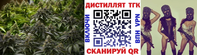 Купить где  Губкин  ТГК вейп 