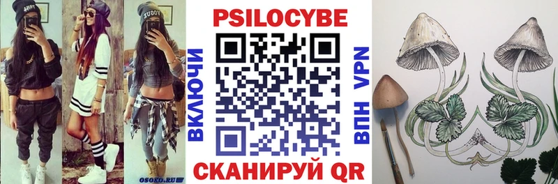 Купить  Губкин  Галлюциногенные грибы Cubensis 